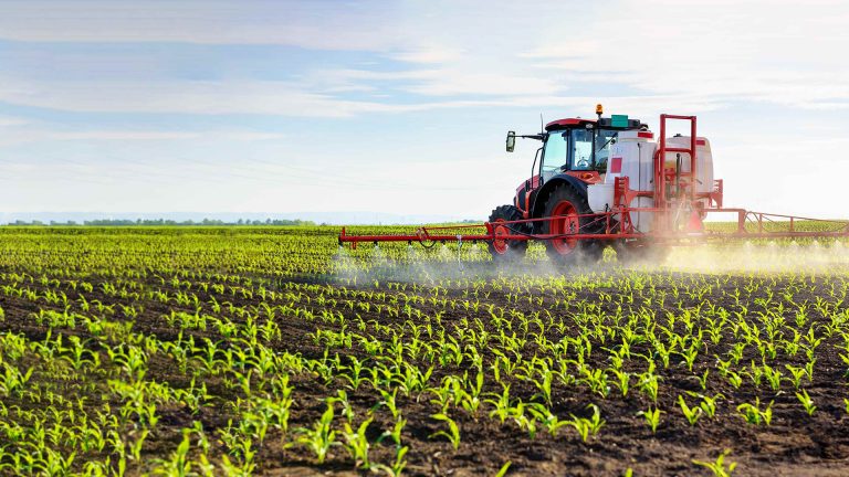 KLSH: 10 pesticide të ndaluara në BE gjenden në tregun shqiptar